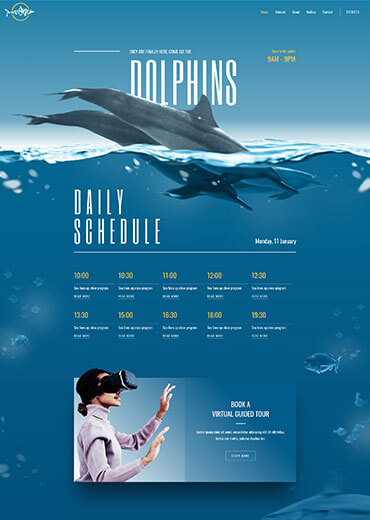 Digital marketing campaign website layout